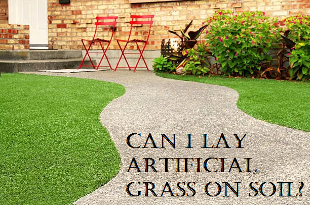 Can I Lay Artificial Grass on Soil?