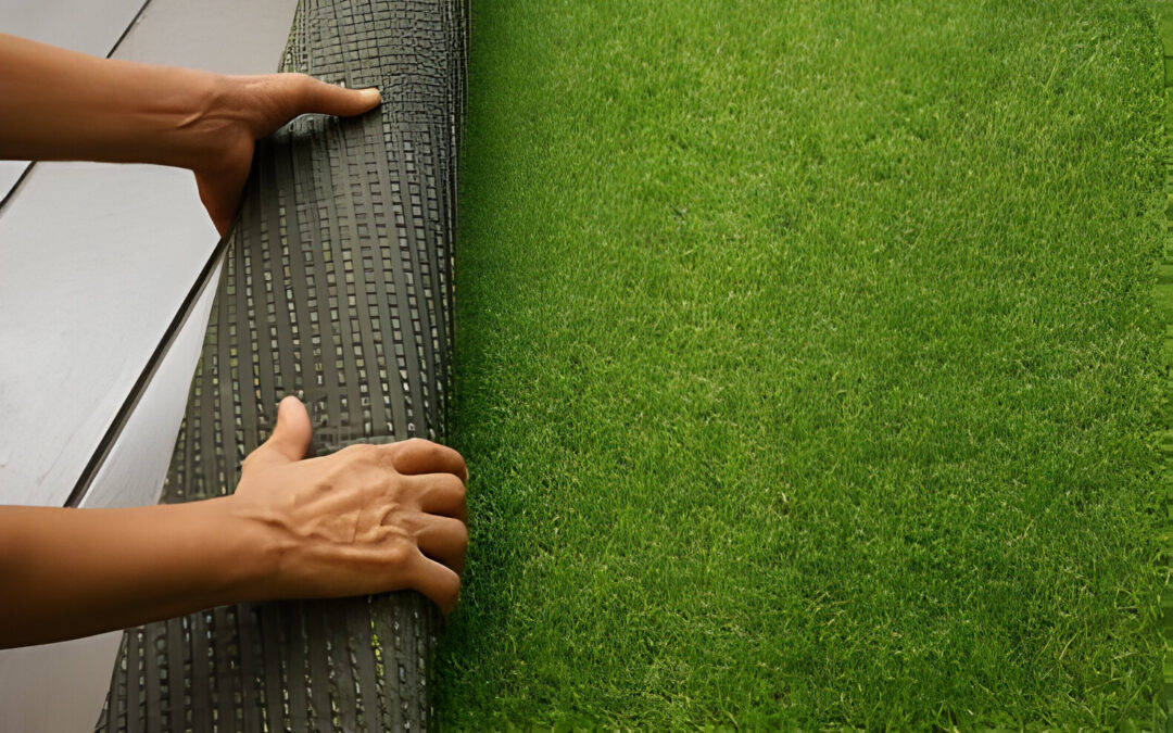 Questions Should You Ask During an Artificial Grass Consultation