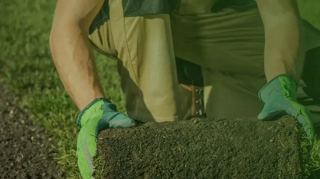 Artificial Grass Maintenance Services